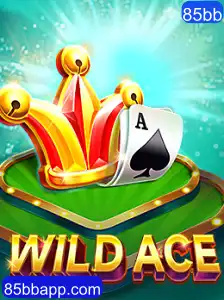 Explorando o Fascinante Mundo de WildAce: Aventuras e Estratégias